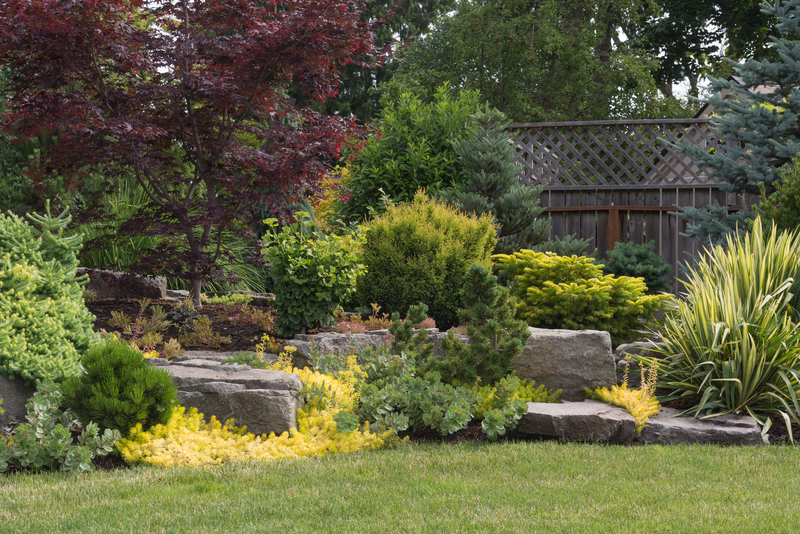 Why Your Backyard Needs Better Drainage